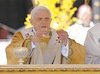 Benedikt XVI (66)