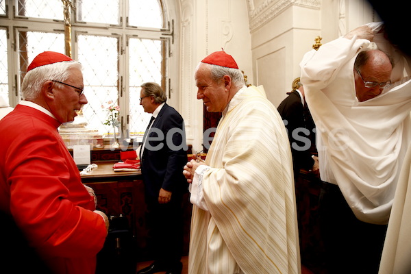 Bischofsweihe_Einzug Dom _40A7100