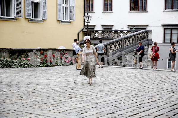 Bischofsweihe_Einzug Dom _40A7115
