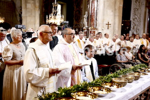 Bischofsweihe_Einzug Dom _40A7261