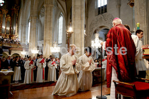 Foto Neuhold Priesterweihe-1067