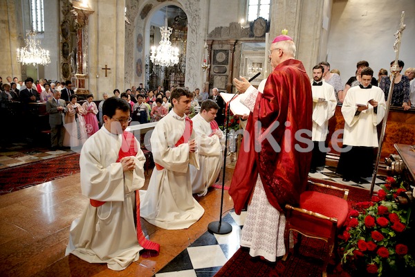 Foto Neuhold Priesterweihe-1110