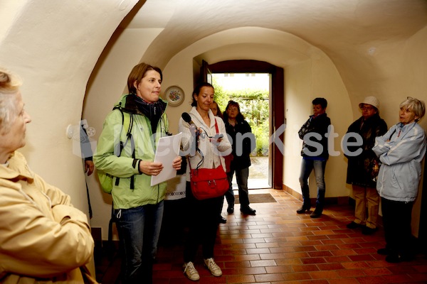 Foto Neuhold verborgene Gaerten Lange Nacht der Kirchen 2013-9377 (21)