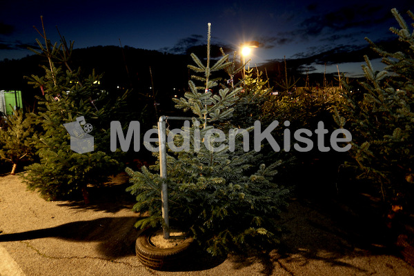 Foto_Neuhold_Christbaumgewinn_Kirchenbeitrag (2)