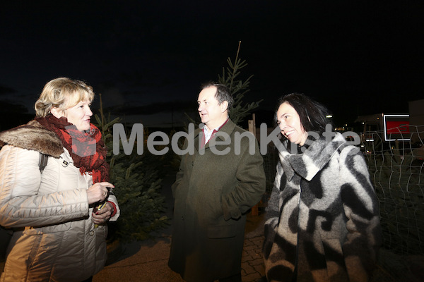 Foto_Neuhold_Christbaumgewinn_Kirchenbeitrag (5)