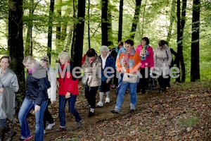 Frauenpilgerweg in Seggauberg-5280