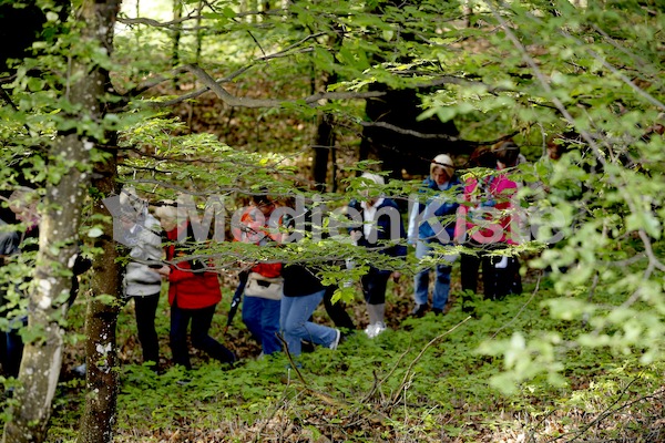 Frauenpilgerweg in Seggauberg-5284