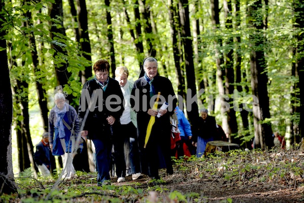 Frauenpilgerweg in Seggauberg-5299