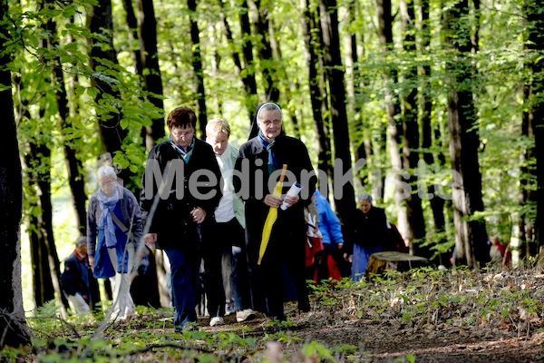 Frauenpilgerweg in Seggauberg-5299