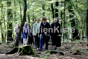 Frauenpilgerweg in Seggauberg-5316