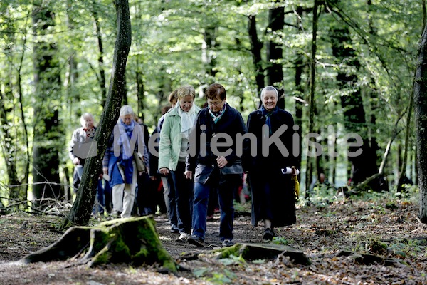 Frauenpilgerweg in Seggauberg-5316