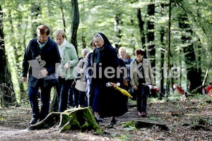 Frauenpilgerweg in Seggauberg-5320