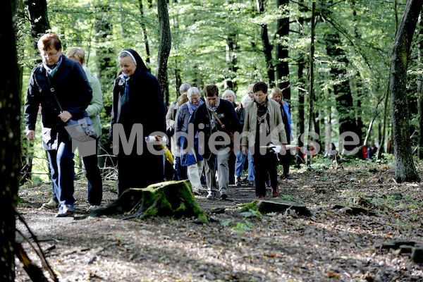 Frauenpilgerweg in Seggauberg-5321