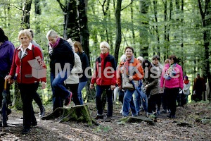 Frauenpilgerweg in Seggauberg-5334