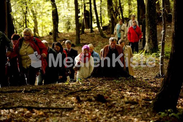 Frauenpilgerweg in Seggauberg-5342