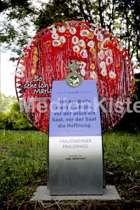 Frauenpilgerweg in Seggauberg-5399