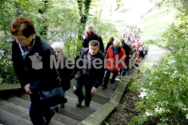 Frauenpilgerweg in Seggauberg-5440