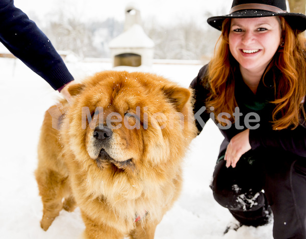 Kirchenhund Tiger von Pfarrer Babski-3382-2