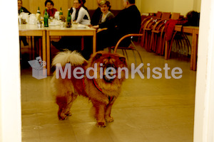 Kirchenhund Tiger von Pfarrer Babski-3389