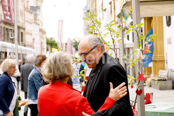 Kirchenmeile_Bühnen_Foto_Gerd_Neuhold-6658