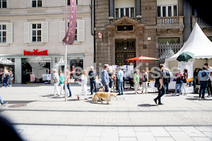 Kirchenmeile_Bühnen_Foto_Gerd_Neuhold-6900