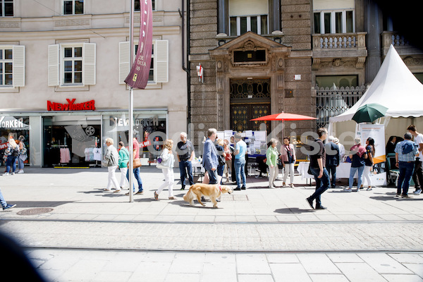 Kirchenmeile_Bühnen_Foto_Gerd_Neuhold-6900