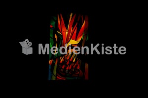 LNK_2017Graz_F._Neuhold_LR-3537