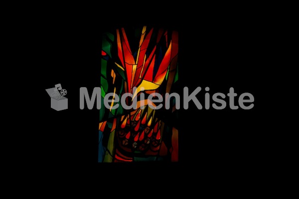 LNK_2017Graz_F._Neuhold_LR-3537