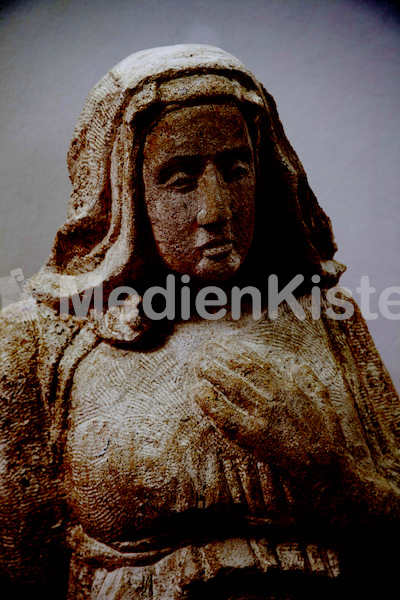 LSF Marienstatue Segnung-1205