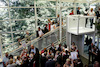 Mitarbeiterfest_2015_F._NeuholdFoto Neuhold-206