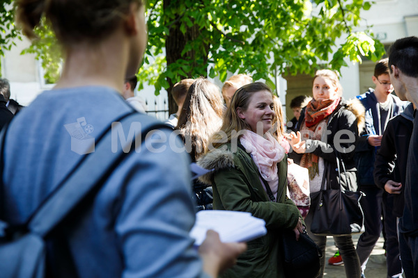 MK_Weg_der_Barmherzigkeit_2017_F._Neuhold-1753