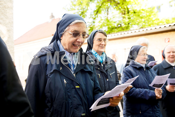 MK_Weg_der_Barmherzigkeit_2017_F._Neuhold-1783