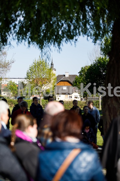 MK_Weg_der_Barmherzigkeit_2017_F._Neuhold-1940