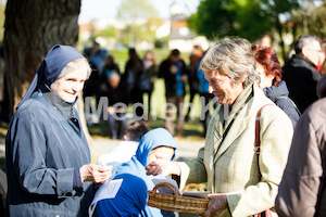 MK_Weg_der_Barmherzigkeit_2017_F._Neuhold-1958