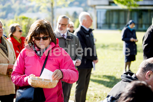 MK_Weg_der_Barmherzigkeit_2017_F._Neuhold-1972