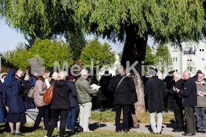 MK_Weg_der_Barmherzigkeit_2017_F._Neuhold-1993