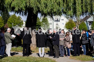 MK_Weg_der_Barmherzigkeit_2017_F._Neuhold-1994