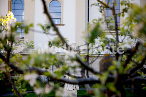 MK_Weg_der_Barmherzigkeit_2017_F._Neuhold-2098