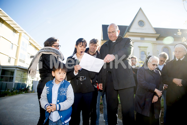 MK_Weg_der_Barmherzigkeit_2017_F._Neuhold-2108