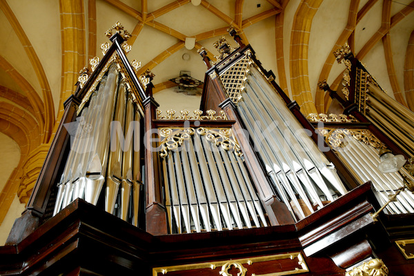 Orgelweihe Fernitz-6094