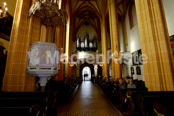 Orgelweihe Fernitz-6116