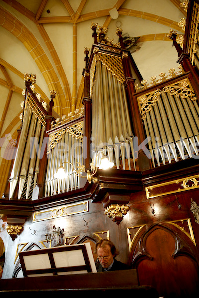 Orgelweihe Fernitz-6534
