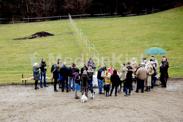 Pferdesegnung am Huehnerberg-7708