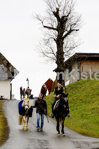 Pferdesegnung am Huehnerberg-7750