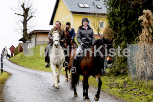 Pferdesegnung am Huehnerberg-7828