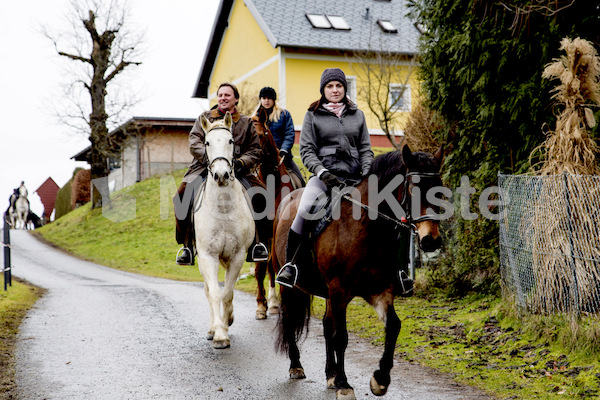 Pferdesegnung am Huehnerberg-7828