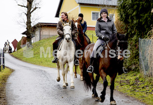 Pferdesegnung am Huehnerberg-7829