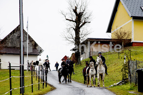 Pferdesegnung am Huehnerberg-7838