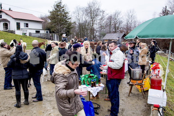 Pferdesegnung am Huehnerberg-7852