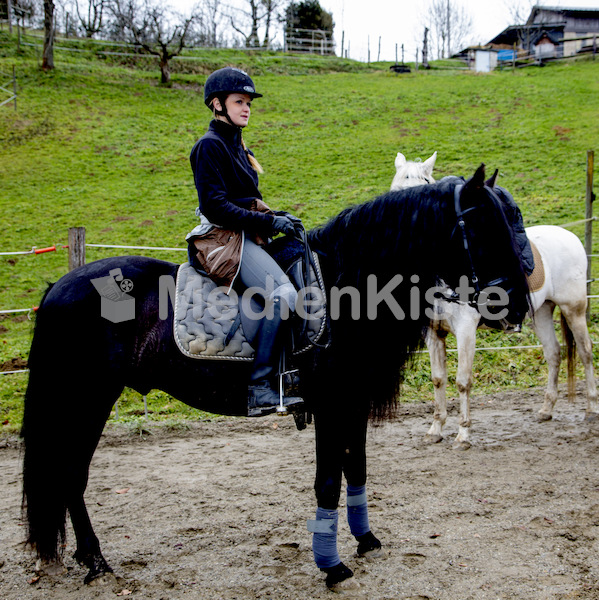 Pferdesegnung am Huehnerberg-7856